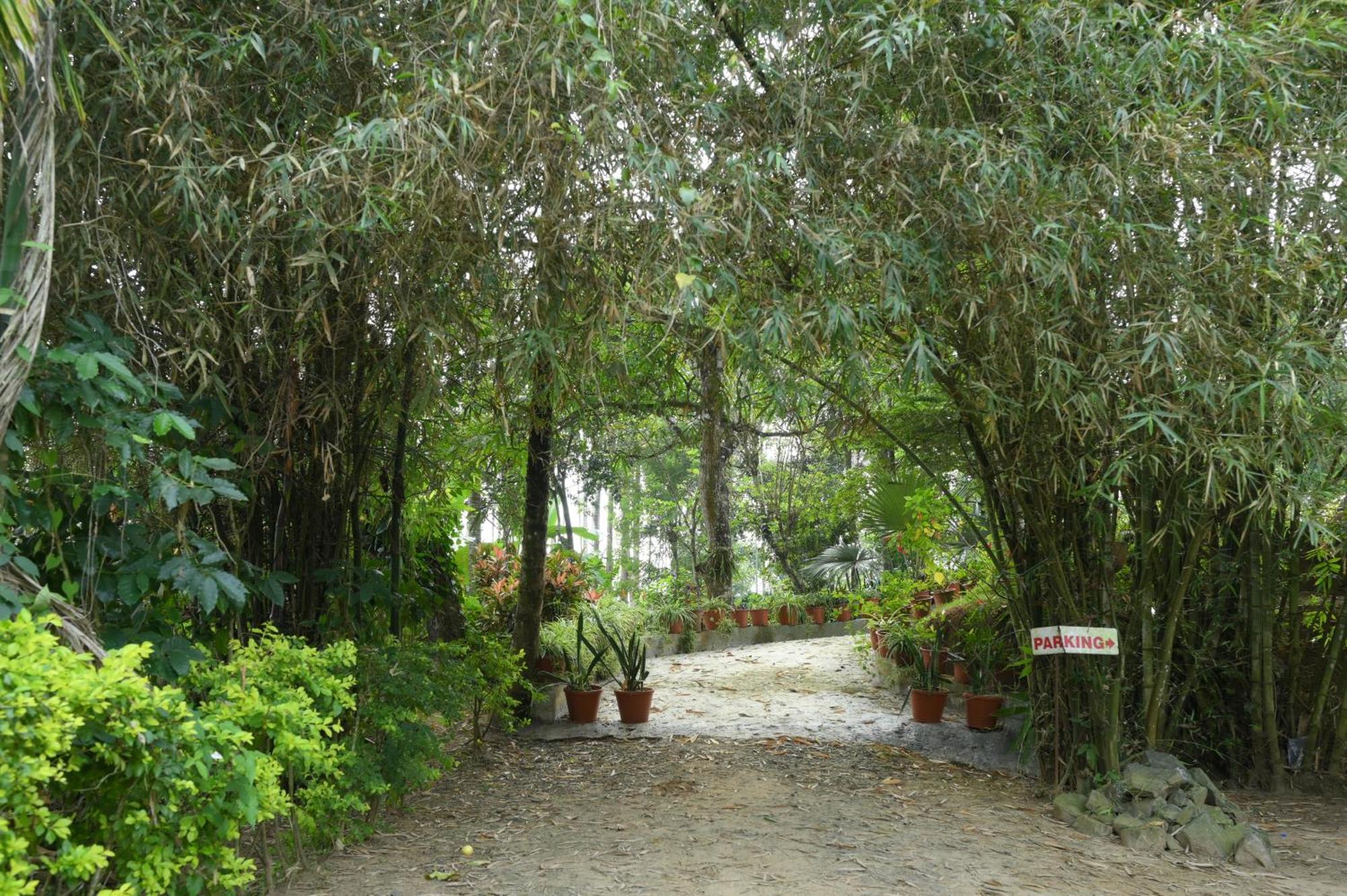 Coffee Island Resort Kaniyambetta Ngoại thất bức ảnh