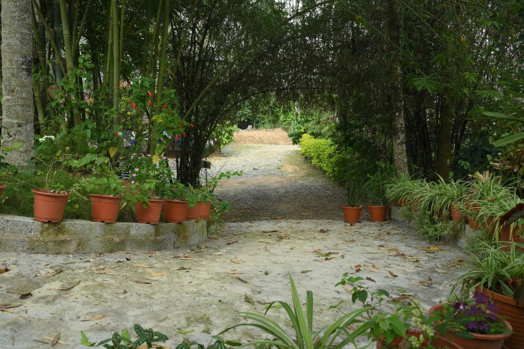 Coffee Island Resort Kaniyambetta Ngoại thất bức ảnh