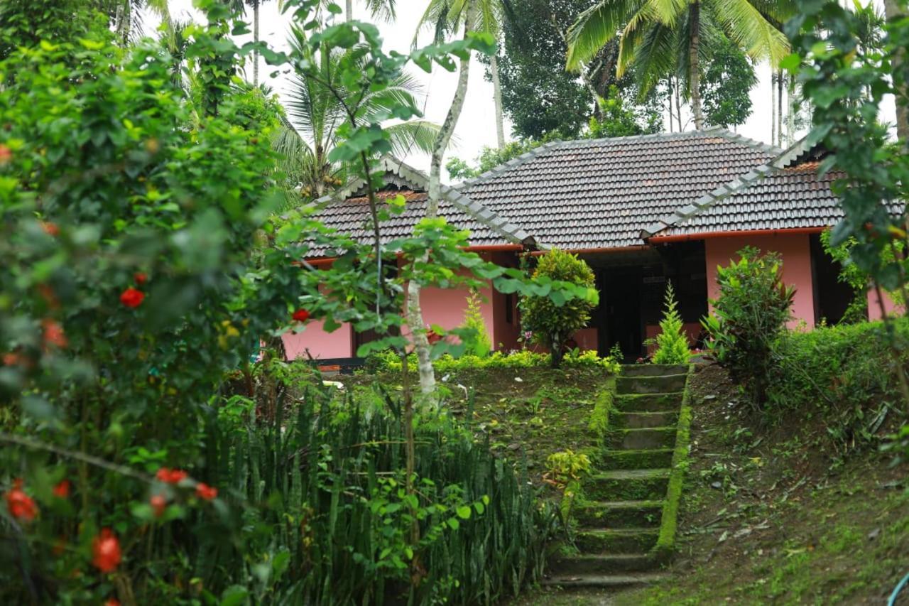 Coffee Island Resort Kaniyambetta Ngoại thất bức ảnh